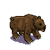 grizzly-bear-standing-03.png
