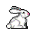(image)