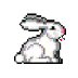 (image)