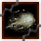 (image)