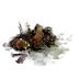 scenery/trash.png