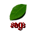 (image)