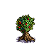 (image)