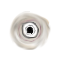 (image)