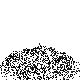 (image)