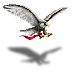 (image)