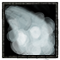 (image)