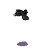 (image)