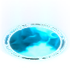 (image)