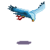(image)