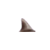 (image)