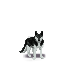 (image)