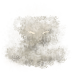 (image)