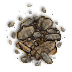 (image)