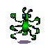 (image)