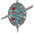 (image)