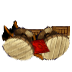 (image)