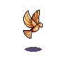 (image)