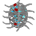 (image)