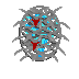 (image)