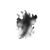 (image)