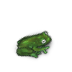 (image)