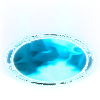 (image)