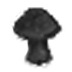 (image)