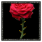 (image)