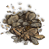 (image)