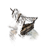 (image)