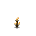 (image)