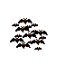 (image)