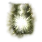 (image)